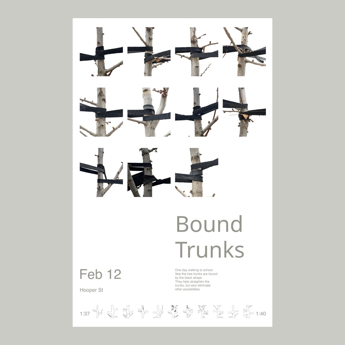 Bound Trunks