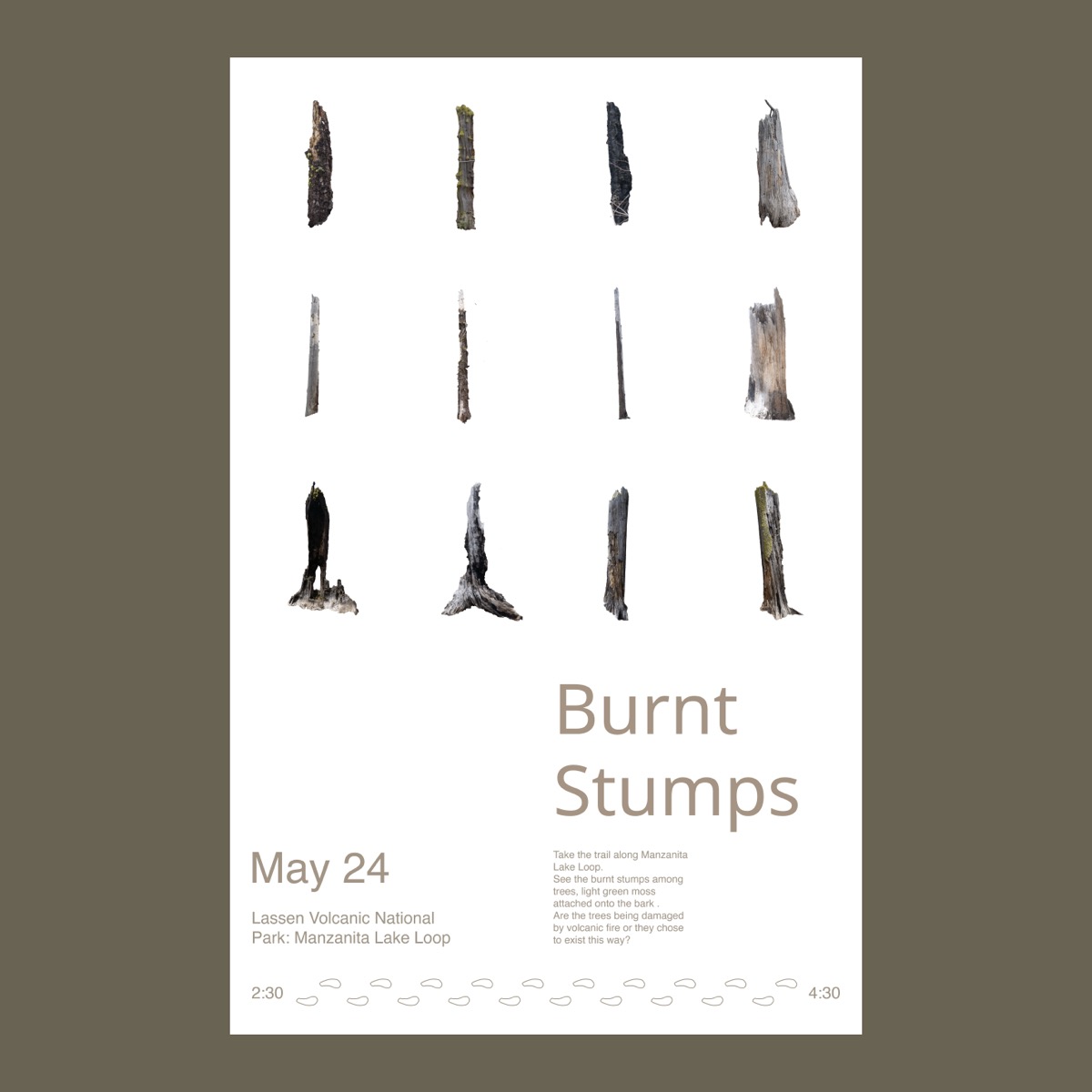 Burnt Stumps