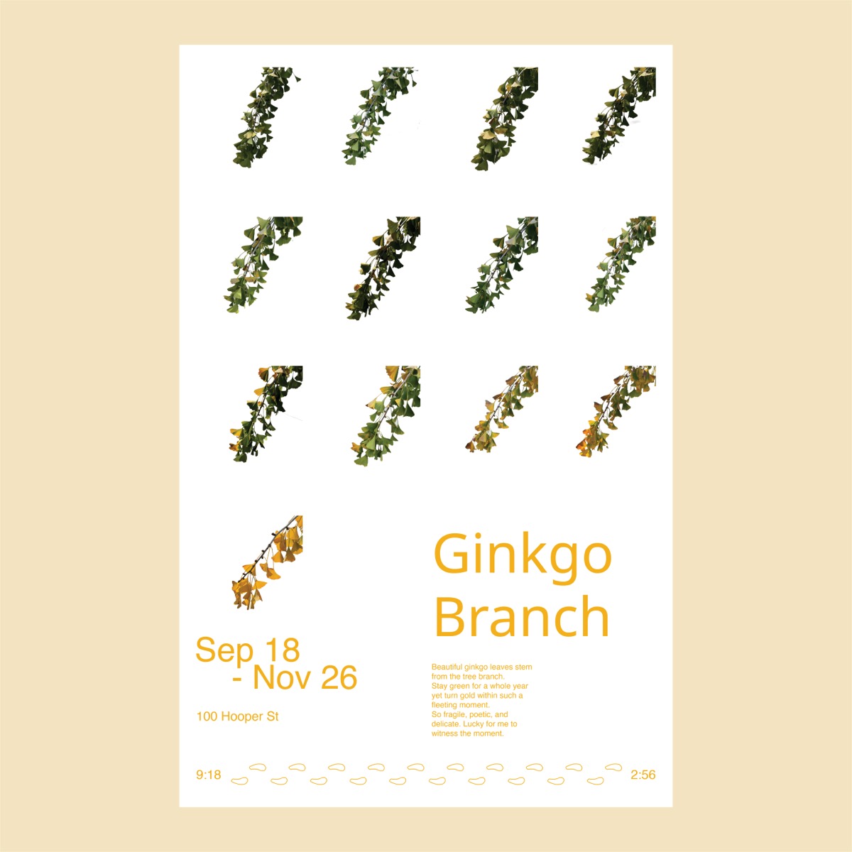 Ginkgo Branch