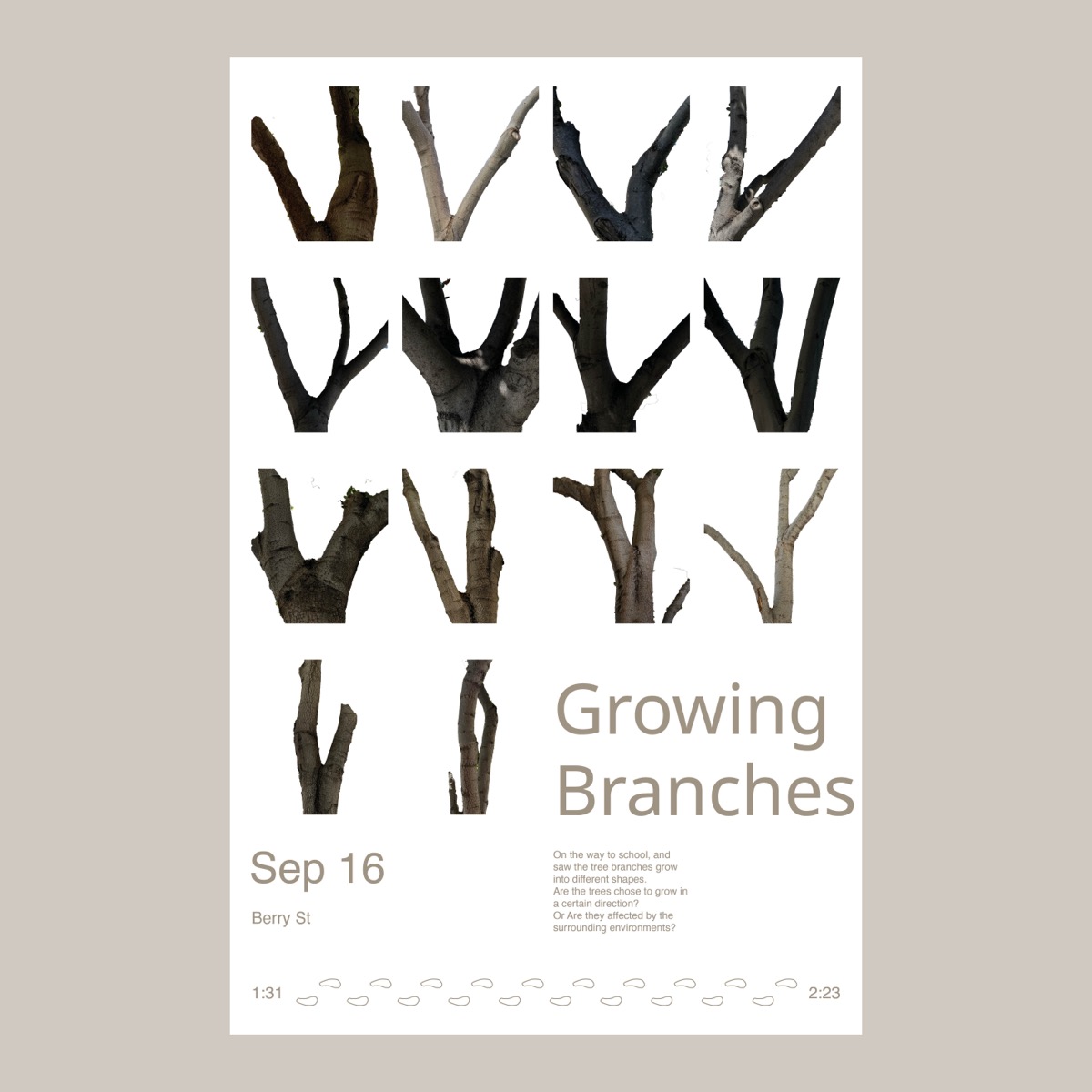Growing Branches