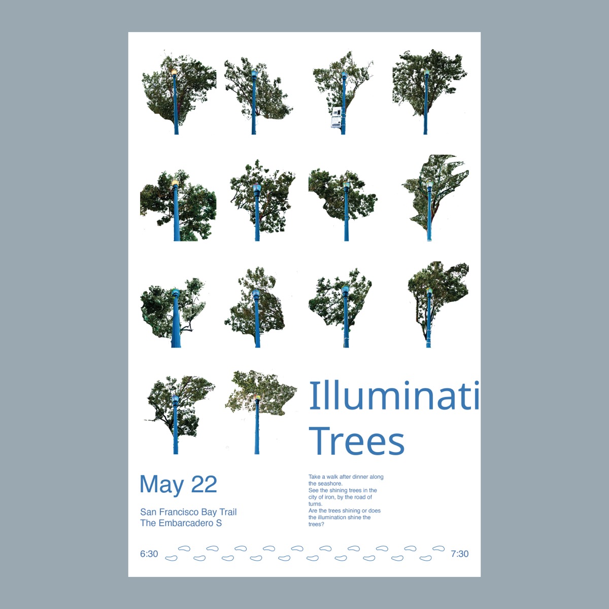 Illuminated Trees